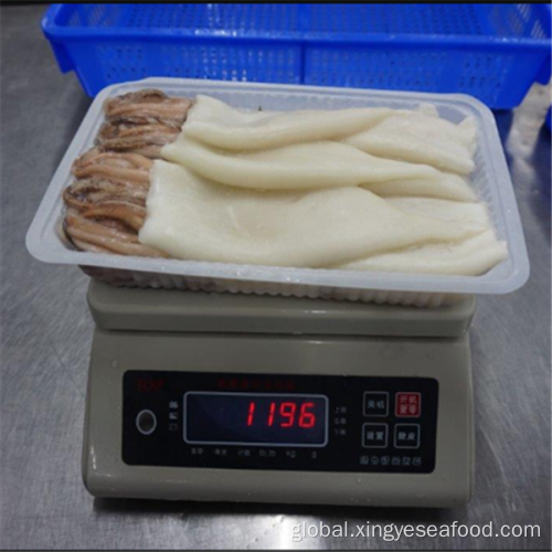 T and T Pacificus Squid Products Frozen T+T Squid Products Todarodes Pacificus Squid Products Manufactory